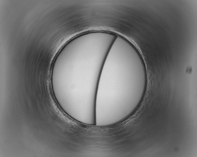 X0000114400895200911061535