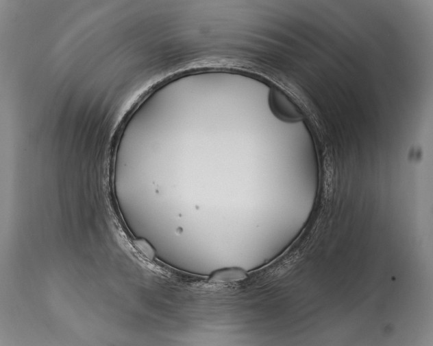 X0000114400896200911061535