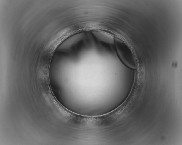 X0000114400897200911061535