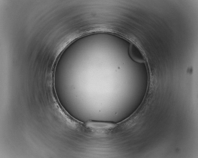 X0000114400898200911061535