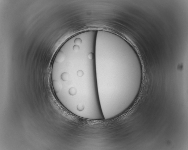 X0000114400899200911061535