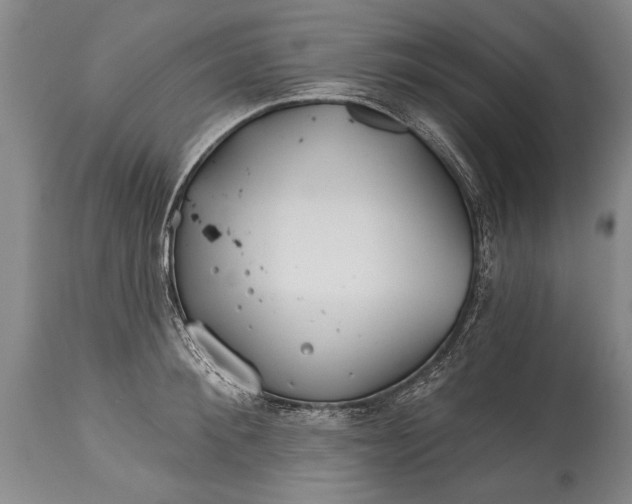 X0000114400900200911061535