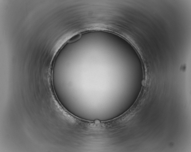 X0000114400901200911061535