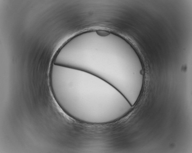 X0000114400902200911061535