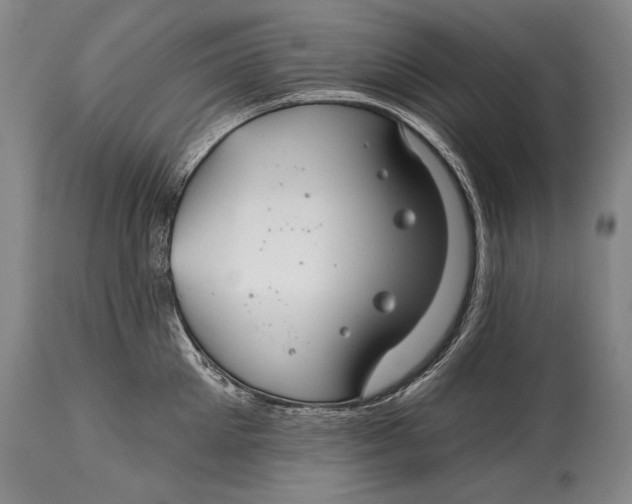 X0000114400905200911061535