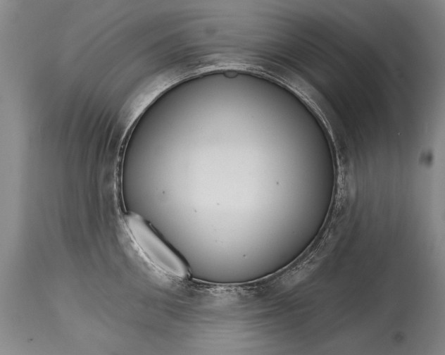 X0000114400906200911061535