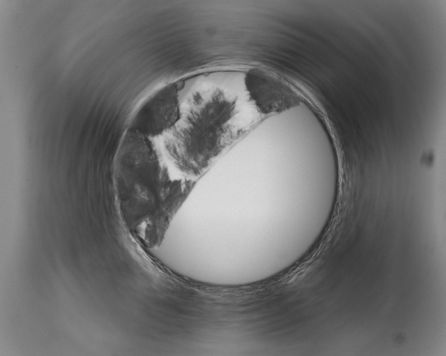 X0000114400907200911061535