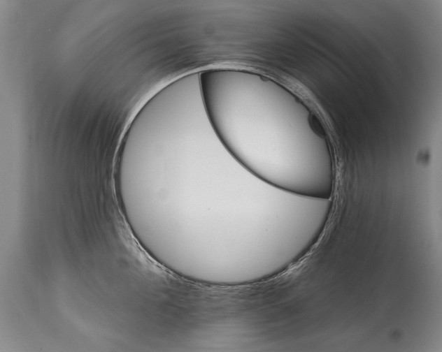 X0000114400908200911061535