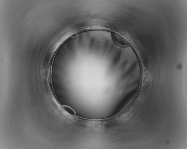 X0000114400909200911061535