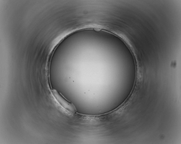 X0000114400910200911061535