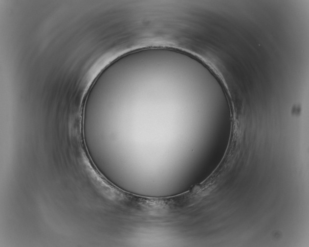 X0000114400911200911061535