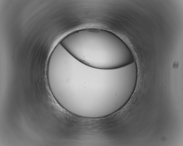 X0000114400912200911061535