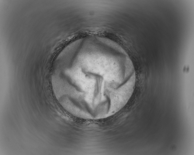 X0000114400913200911061534