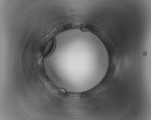 X0000114400914200911061534