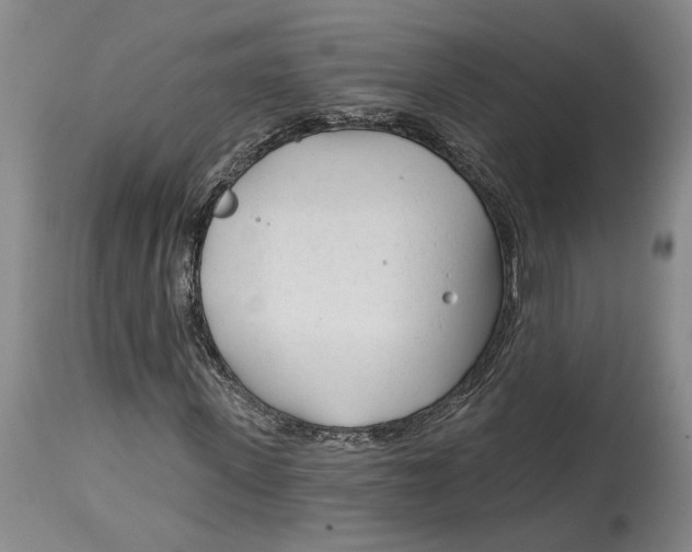 X0000114400915200911061534