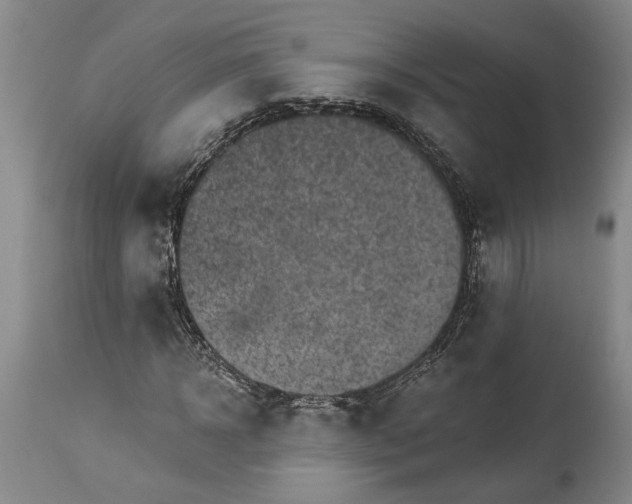 X0000114400918200911061534