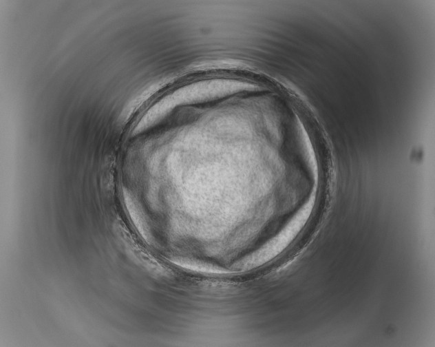 X0000114400921200911061534