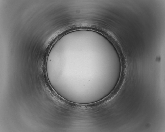 X0000114400922200911061534