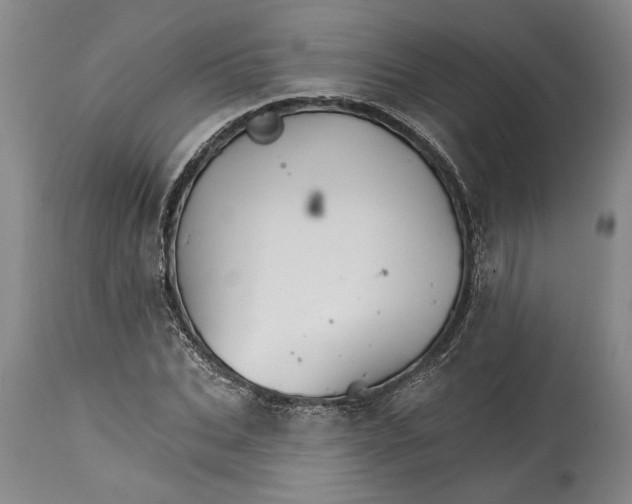 X0000114400927200911061534