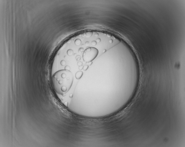 X0000114400931200911061534