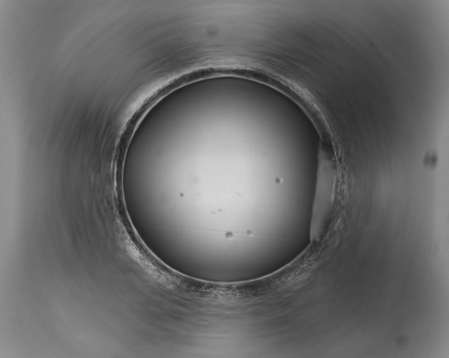 X0000114400935200911061534