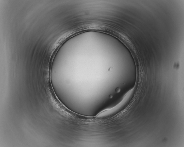 X0000114400938200911061534