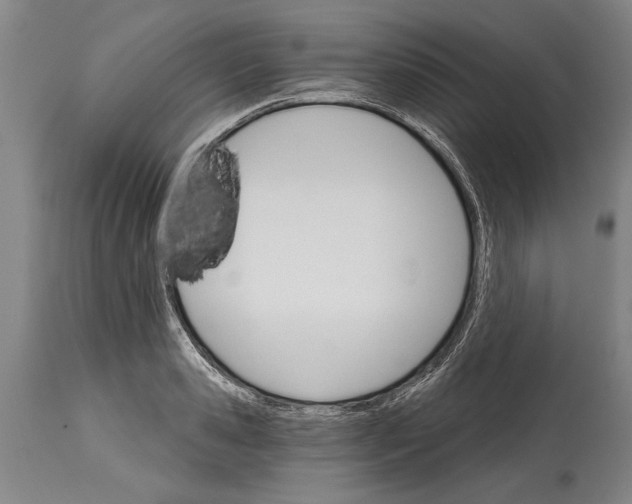 X0000114400941200911061534