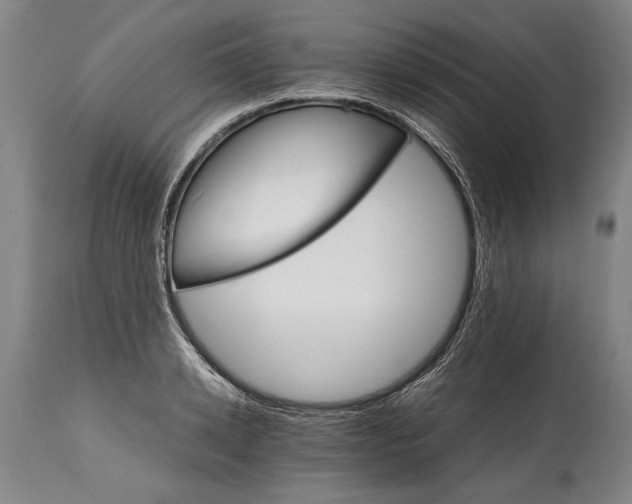 X0000114400942200911061534