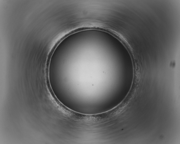 X0000114400943200911061534