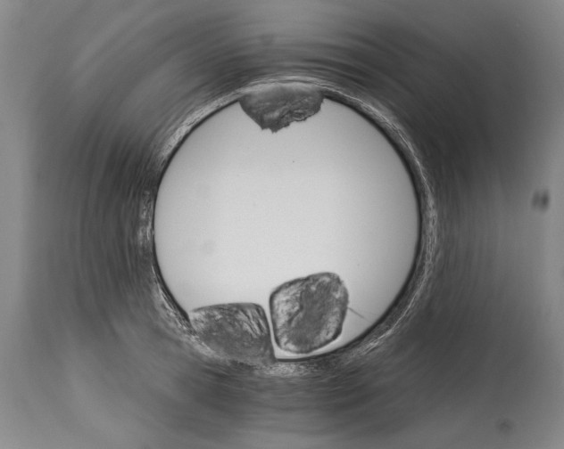 X0000114400945200911061534