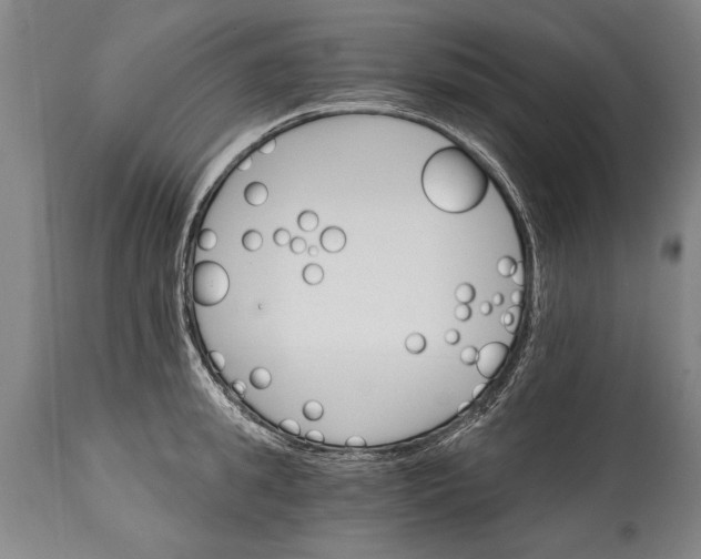 X0000114400949200911061535