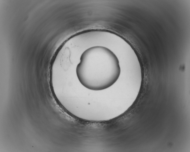 X0000114400950200911061535