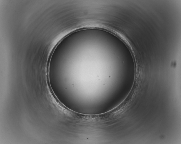 X0000114400951200911061535