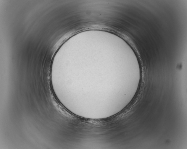 X0000114400954200911061535