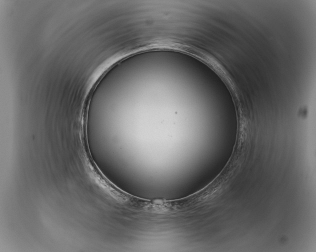 X0000114400955200911061535