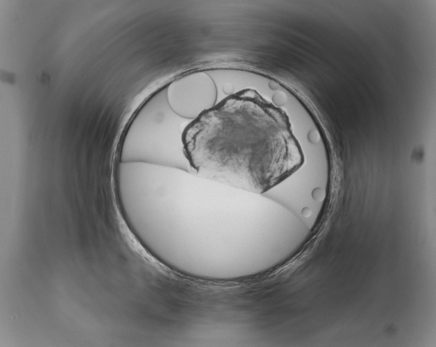 X0000114400957200911061535