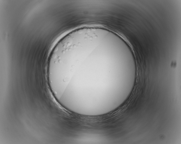 X0000114400959200911061535