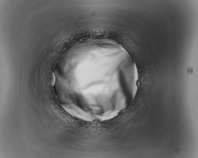 X0000114400961200911061534