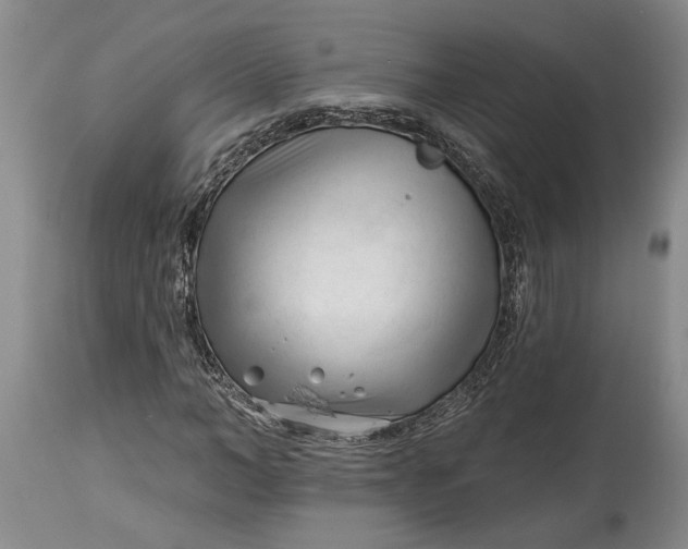 X0000114400966200911061534