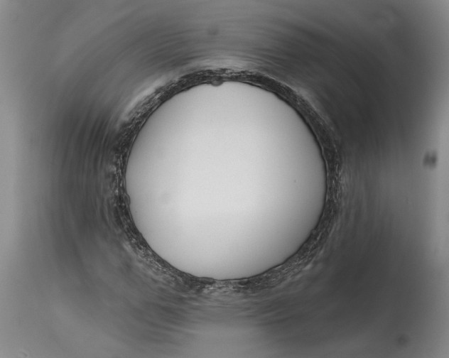 X0000114400967200911061534