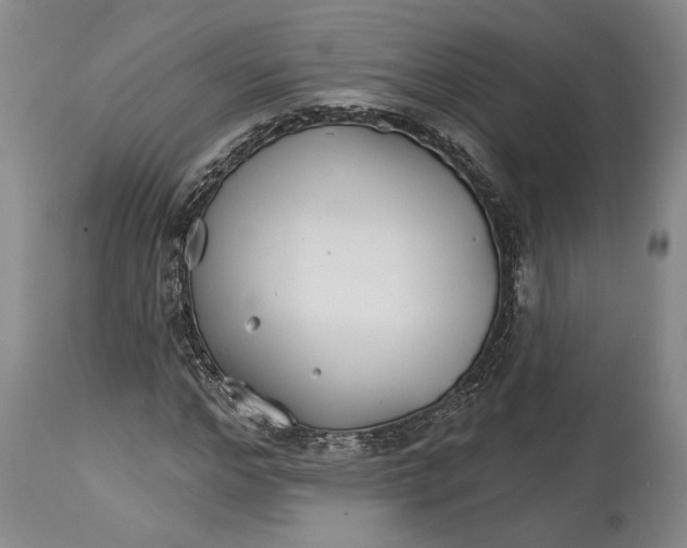 X0000114400968200911061534