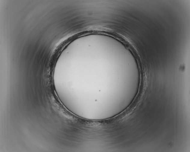 X0000114400971200911061534