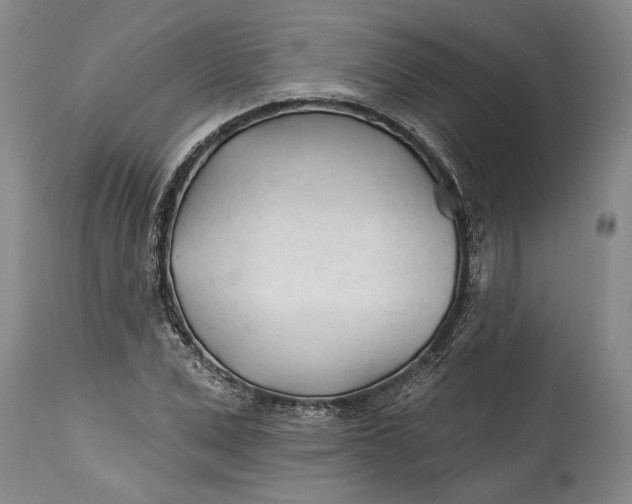 X0000114400975200911061534