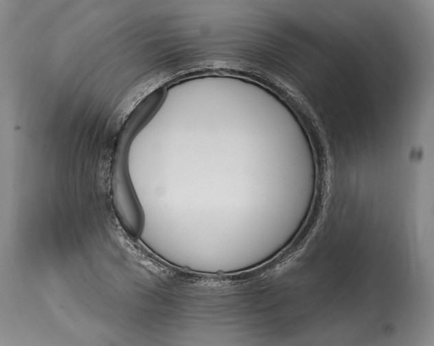 X0000114400977200911061534