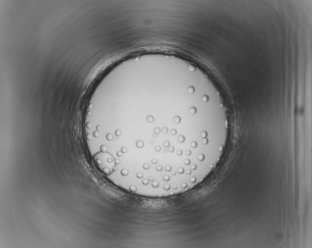 X0000114400978200911061534