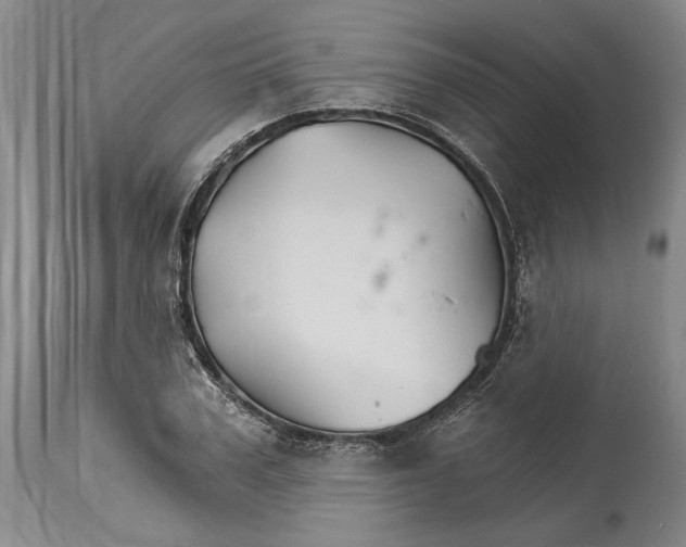 X0000114400979200911061534