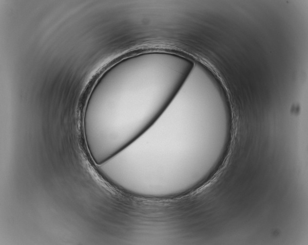 X0000114400981200911061534