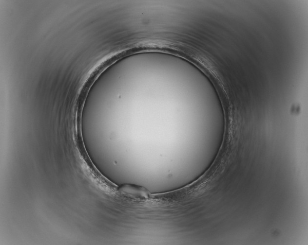 X0000114400984200911061534