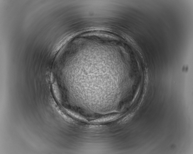 X0000114400985200911061534