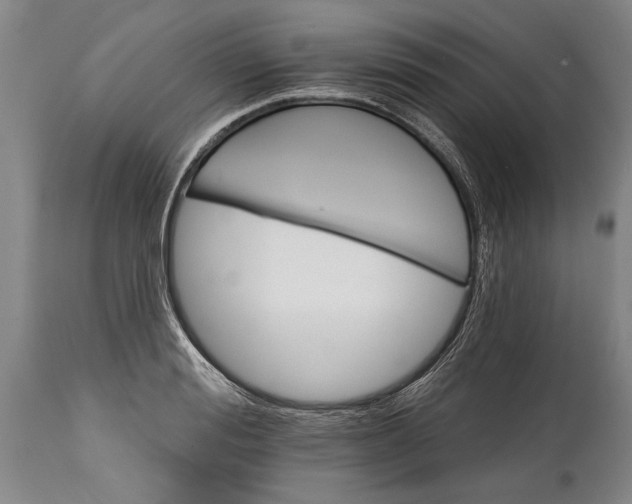 X0000114400988200911061534